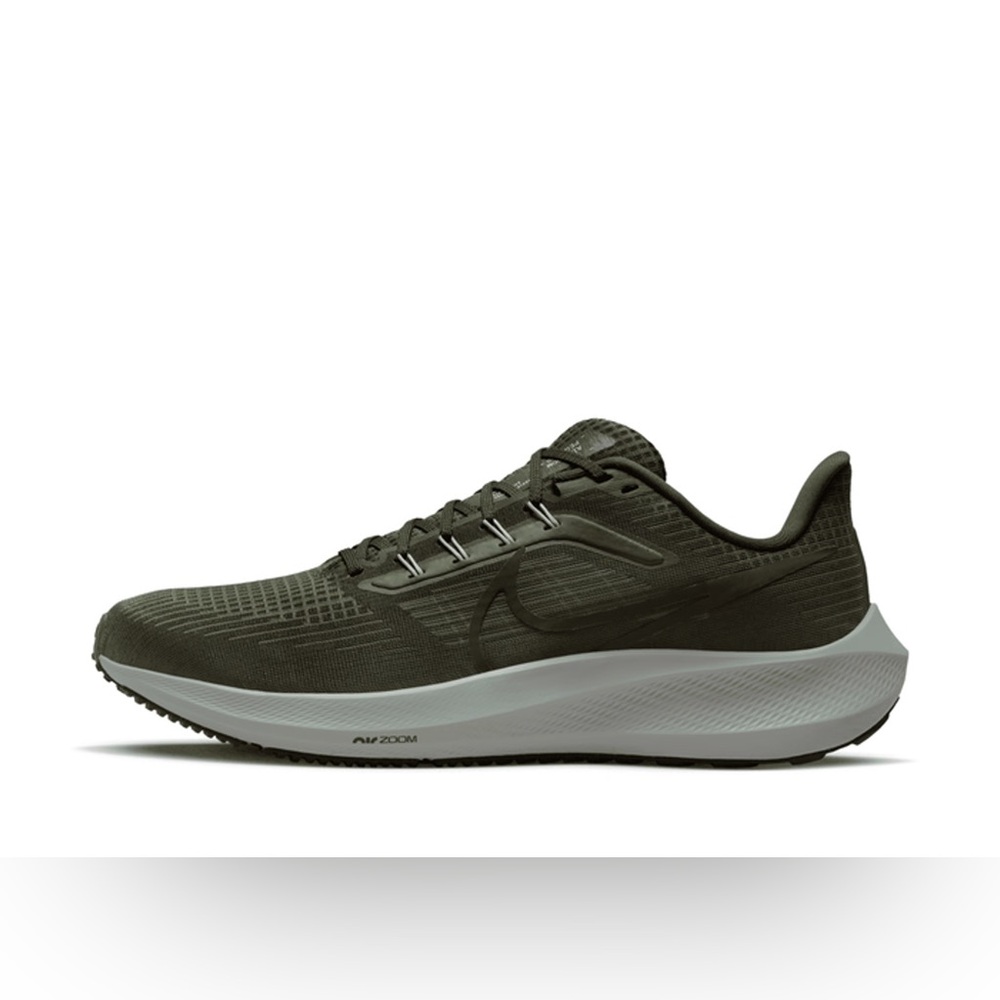 Nike Mens Air Zoom Pegasus 39 DH4071 300